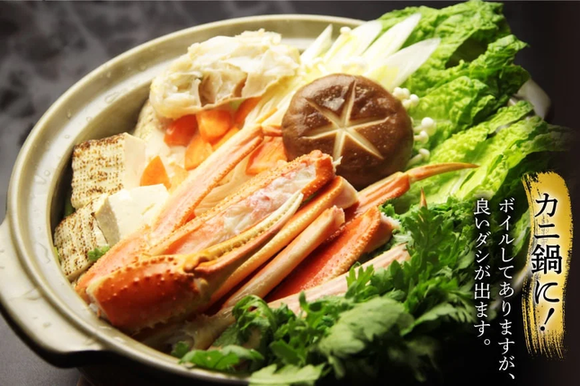 宮城県気仙沼市のふるさと納税 訳あり ボイル ずわいがに 肩付き脚 総重量1kg [カネダイ 宮城県 気仙沼市 20564325] カニ かに 魚介類 ズワイガニ ずわい蟹 ズワイ蟹 ずわい ズワイ 蟹 カニ カニ脚 蟹脚 不揃い 規格外 海鮮 ご褒美