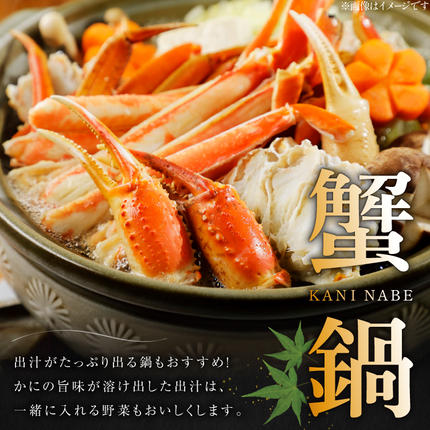 宮城県気仙沼市のふるさと納税 訳あり ボイル ずわいがに 肩付き脚 総重量1kg [カネダイ 宮城県 気仙沼市 20564325] カニ かに 魚介類 ズワイガニ ずわい蟹 ズワイ蟹 ずわい ズワイ 蟹 カニ カニ脚 蟹脚 不揃い 規格外 海鮮 ご褒美