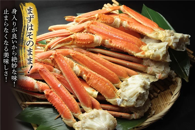 宮城県気仙沼市のふるさと納税 訳あり ボイル ずわいがに 肩付き脚 総重量1kg [カネダイ 宮城県 気仙沼市 20564325] カニ かに 魚介類 ズワイガニ ずわい蟹 ズワイ蟹 ずわい ズワイ 蟹 カニ カニ脚 蟹脚 不揃い 規格外 海鮮 ご褒美