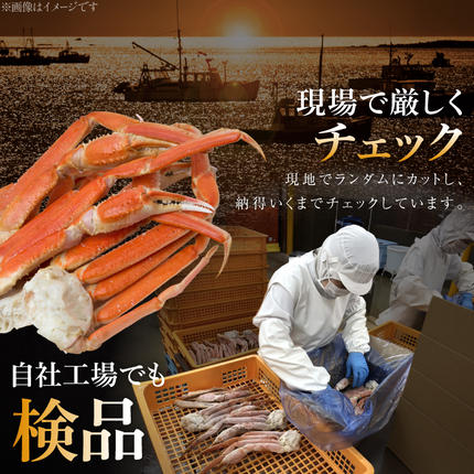 宮城県気仙沼市のふるさと納税 訳あり ボイル ずわいがに 肩付き脚 総重量1kg [カネダイ 宮城県 気仙沼市 20564325] カニ かに 魚介類 ズワイガニ ずわい蟹 ズワイ蟹 ずわい ズワイ 蟹 カニ カニ脚 蟹脚 不揃い 規格外 海鮮 ご褒美