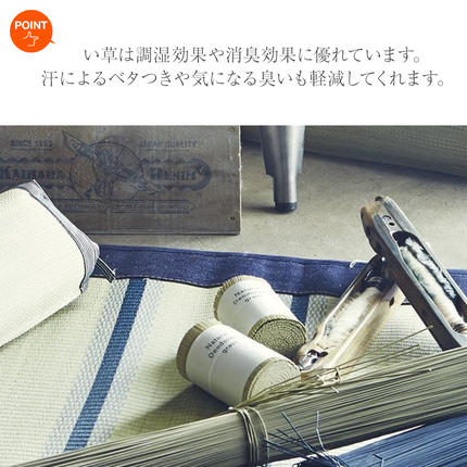 福岡県大木町のふるさと納税 デニム使用い草マットルークス（95×150）（ネイビー）　AA074
