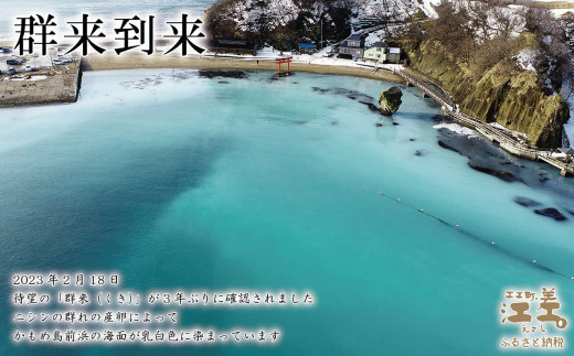 北海道江差町のふるさと納税 北海道江差町かもめ島応援寄附　江差のシンボル「かもめ島」の環境保全・景観保護・にぎわい創出支援【返礼品なし】