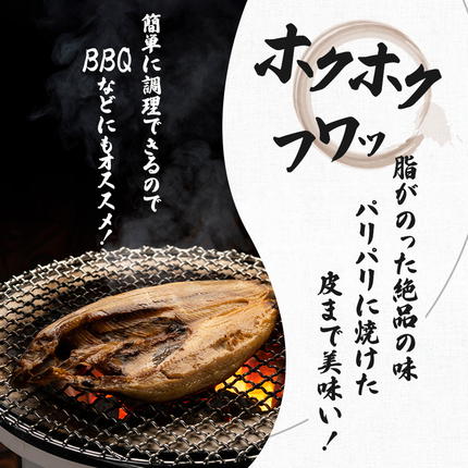 【ふるさと納税 干物】国産で無添加の秋田県 ひもの冷凍は厳選して詰め合わせ
