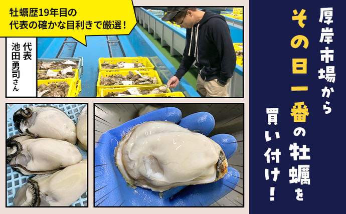 北海道厚岸町のふるさと納税 牡蠣 北海道厚岸産 牡蠣むいちゃいました！ 生食用 500g×1 むき身 生牡蠣 貝 海鮮 魚介類 新鮮 マルえもん