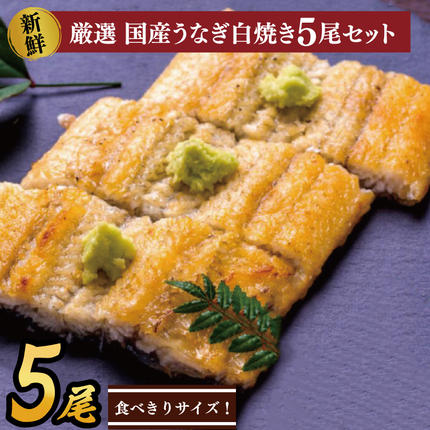 茨城県行方市のふるさと納税 食べ切りサイズ！国内産うなぎの白焼(酒蒸し)100～120g 5尾　計500g以上|うなぎ 鰻 白焼 酒蒸し 食べ切り 茨城県 行方市（AD-71-3）