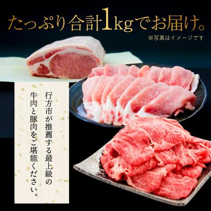 茨城県行方市のふるさと納税 J-12 【美明豚×常陸牛】1kgスライスセットA（美明豚バラ600g×常陸牛もも400g）