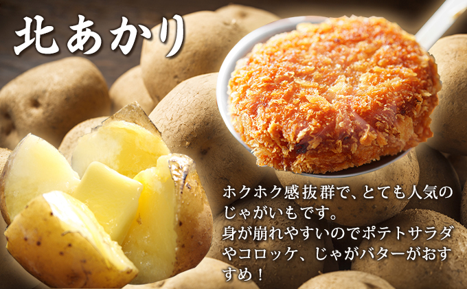 北海道富良野市のふるさと納税 【2026年10月発送】富良野産 野菜 10kgセット じゃがいも ＆ 玉ねぎ ＆ かぼちゃ 3種 詰め合わせ