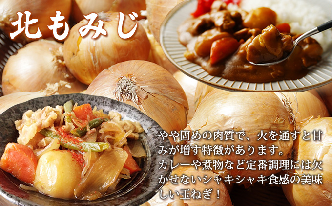 北海道富良野市のふるさと納税 【2026年10月発送】富良野産 野菜 10kgセット じゃがいも ＆ 玉ねぎ ＆ かぼちゃ 3種 詰め合わせ