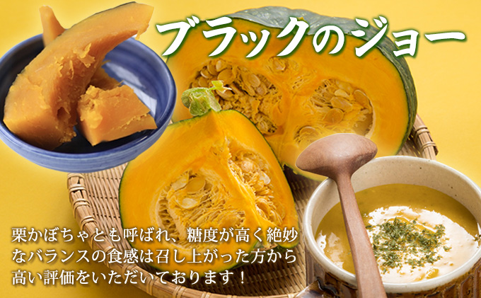 北海道富良野市のふるさと納税 【2026年10月発送】富良野産 野菜 10kgセット じゃがいも ＆ 玉ねぎ ＆ かぼちゃ 3種 詰め合わせ