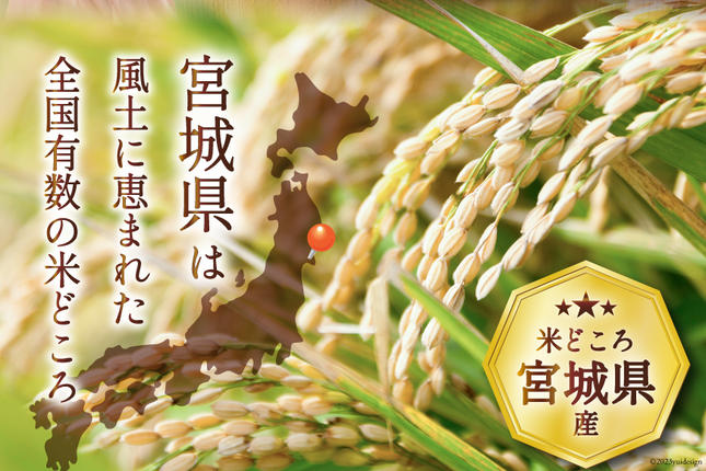 米 宮城県産 ひとめぼれ 10kg (5kg×2袋) [気仙沼米穀商業協同組合 宮城