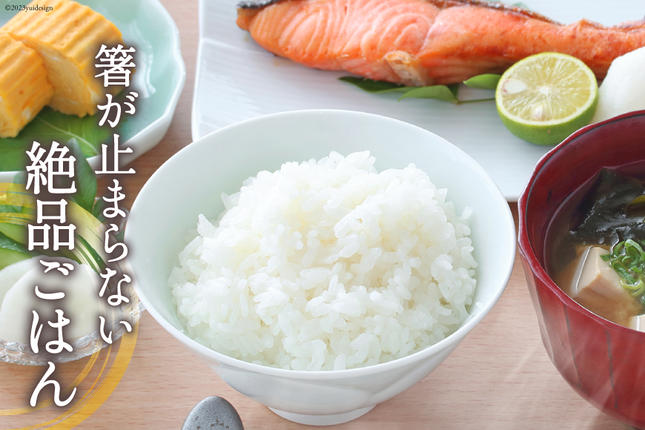 米 宮城県産 ひとめぼれ 10kg (5kg×2袋) [気仙沼米穀商業協同組合 宮城