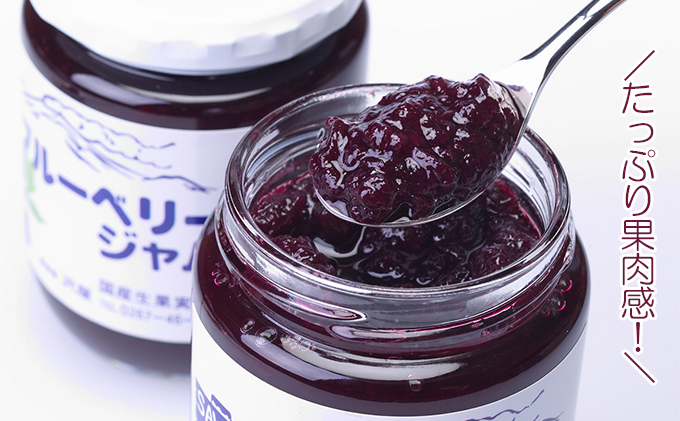 長野県小諸市のふるさと納税 ジャム ブルーベリー 125g 5本 セット 信州小諸産 長野 加工品 フルーツ 果物