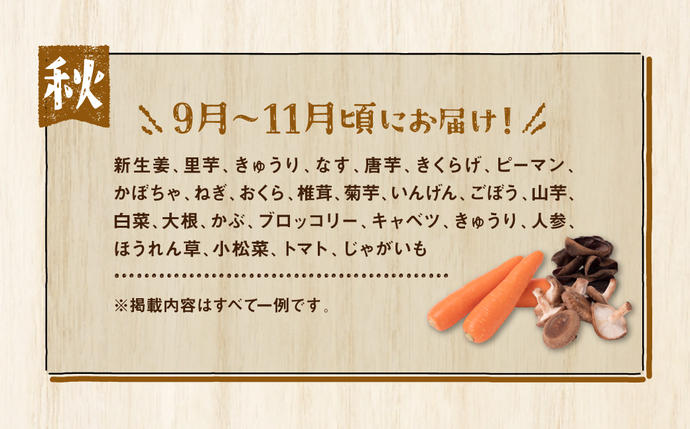 熊本県八代市のふるさと納税 【順次発送】八代市産 旬の農産物詰合せ 復興 福袋 7品以上 野菜 果物 東陽地区