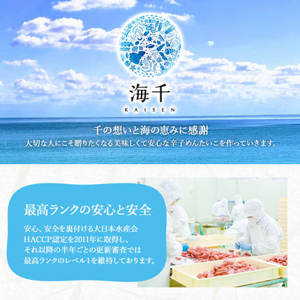 福岡県大木町のふるさと納税 明太子屋がこだわった博多明太フランス　10本セット　BV012