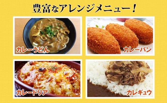 埼玉県嵐山町のふるさと納税 松屋 オリジナルカレーの具 180g 10袋 カレー レトルトカレー 辛口 スパイス カレギュウ レトルト 冷凍 時短 簡単 便利 手抜き レンチン おかず 保存食 備蓄 夜食 まとめ買い お取り寄せ グルメ 埼玉県 嵐山町