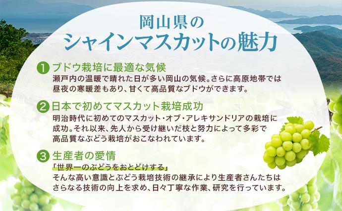 岡山県里庄町のふるさと納税 ぶどう 2026年 先行予約 シャイン マスカット 晴王 5房～10房 約5kg 8月下旬～11月下旬発送 ブドウ 葡萄 岡山県産 国産 フルーツ 果物 ギフト