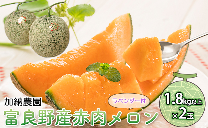 北海道富良野市のふるさと納税 【2026年7月～発送】富良野産 赤肉 メロン ≪ラベンダー付≫ 2玉 計3.6kg以上 北海道 富良野市 (加納農園) メロン フルーツ 果物 新鮮 甘い 贈り物 ギフト 道産 ジューシー おやつ ふらの ブランド 夏