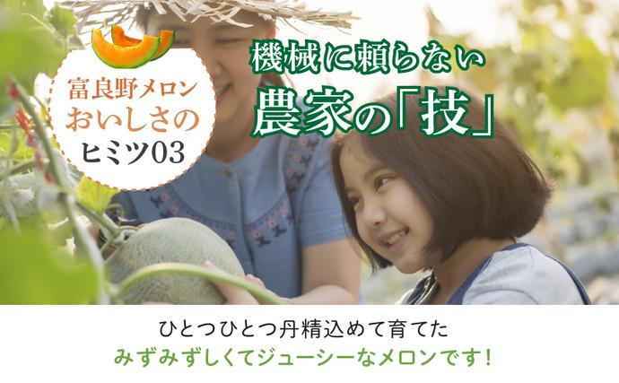 北海道富良野市のふるさと納税 【2026年夏発送】※訳あり※ 富良野 メロン 約4kg〈2玉～4玉入り〉メロン フルーツ 果物
