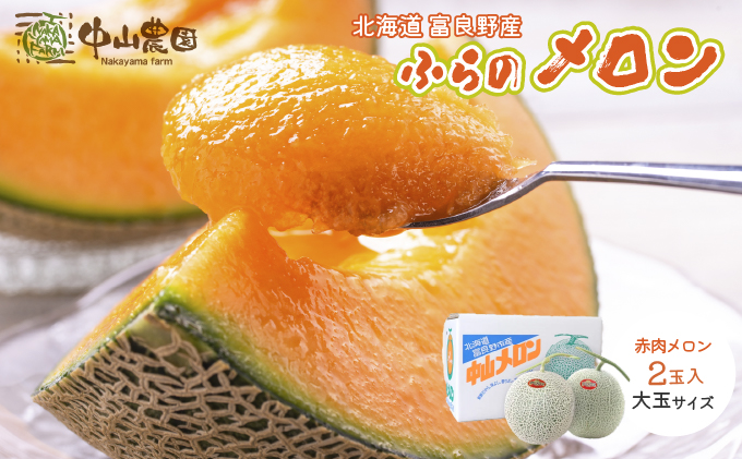 テレビで紹介されました！【2026年夏発送