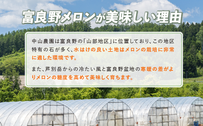 北海道富良野市のふるさと納税 テレビで紹介されました！【2026年夏発送】北海道 富良野産 赤肉メロン 2玉 計3.2kg以上 大玉サイズ メロン