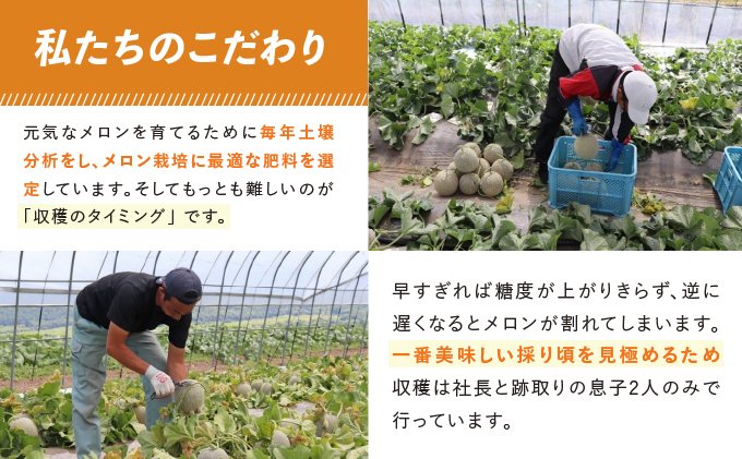 北海道富良野市のふるさと納税 テレビで紹介されました！【2026年夏発送】北海道 富良野産 赤肉メロン 2玉 計3.2kg以上 大玉サイズ メロン