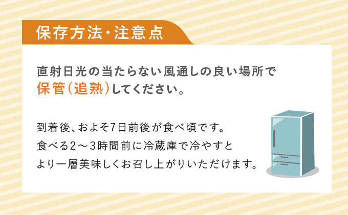 北海道富良野市のふるさと納税 テレビで紹介されました！【2026年夏発送】北海道 富良野産 赤肉メロン 2玉 計3.2kg以上 大玉サイズ メロン