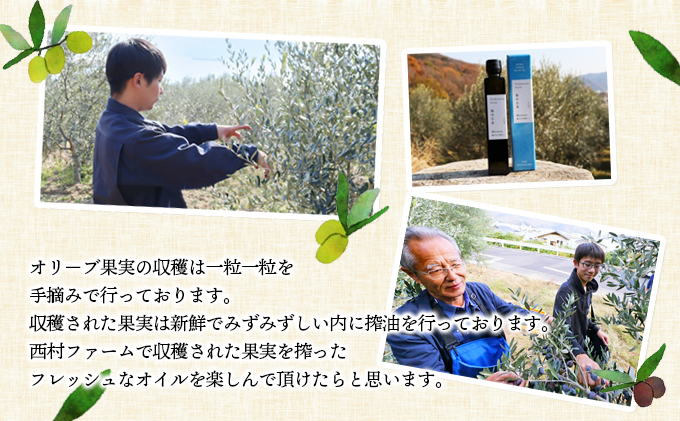 香川県土庄町のふるさと納税 予約商品【 小豆島 】[小豆島産100％] エキストラバージン オリーブオイル 200ml [ルッカ種] 実りの丘※2025年12月発送開始