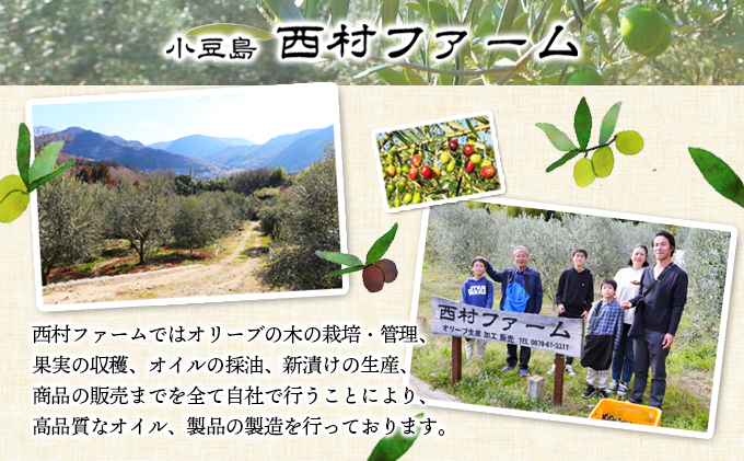 香川県土庄町のふるさと納税 【 小豆島 】オリーブオイル セット 500ml×3本　配送※お申込・生産状況によっては発送までお日にちをいただく場合がございますので、予めご了承ください。