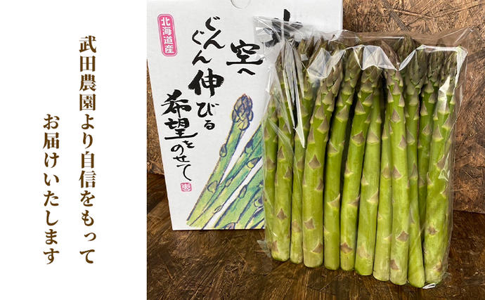 北海道富良野市のふるさと納税 ［武田農園とれたて直送］2026年春～発送 グリーンアスパラ M～2L 混合 1kg やわらかくて抜群にあまい！北海道 富良野産 (アスパラガス アスパラ 野菜 新鮮 産地直送 先行予約 限定)