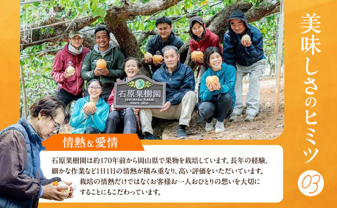 岡山県玉野市のふるさと納税 梨 2026年 先行予約 あたご梨  2玉 (1玉 約950g) 化粧箱 【11月下旬～12月中旬頃発送】ナシ なし 岡山県産 国産 フルーツ 果物 ギフト 石原果樹園 愛宕梨 日本一大きい梨
