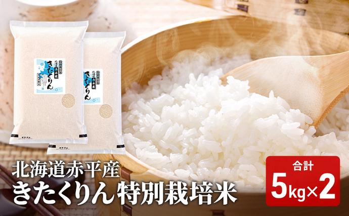 北海道赤平市のふるさと納税 北海道赤平産 きたくりん 10kg (5kg×2袋) 特別栽培米 米 北海道 お米