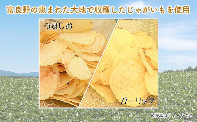 ポテトチップス 定期便 2ヶ月 北海道 ふらのっち 2種類(各12袋