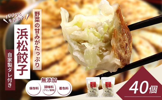 浜松餃子 40個 (20個×2袋) セット