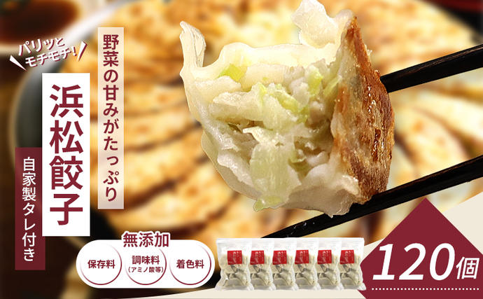 浜松餃子 知久屋 どっさり セット 120個 (20個×6袋) 詰め合わせ 自家製 たれ 24袋 ぎょうざ 餃子 ギョーザ 冷凍餃子 冷凍 ...