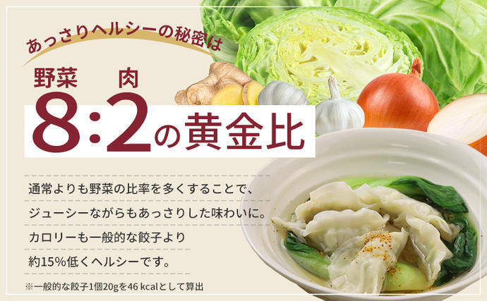 静岡県浜松市のふるさと納税 浜松餃子 40個 (20個×2袋) セット 詰め合わせ 餃子のたれ 小袋 知久屋 国産 ぎょうざ 餃子 ギョーザ 冷凍餃子 冷凍ギョーザ 工場直送 ヘルシー あっさり 惣菜 中華 点心 静岡 静岡県 浜松市 【配送不可：離島】