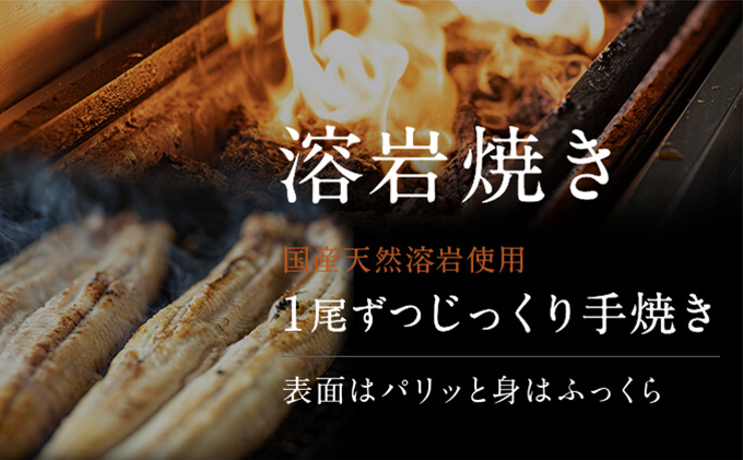 静岡県浜松市のふるさと納税 【浜名湖産】朝じめ うなぎ 溶岩焼き 白焼き 2尾（約140g×2尾） 土用の丑の日 丑の日 熟練 職人 国産 天然溶岩 手焼き 鰻専門店 焼きたて 美味しい 冷蔵便 極上 ふわとろ 食感