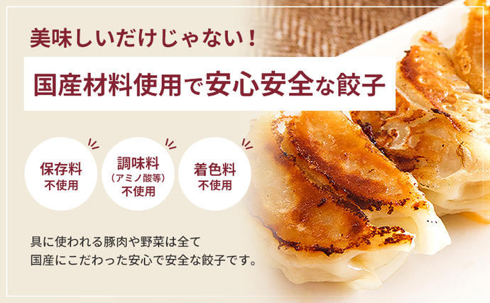 静岡県浜松市のふるさと納税 浜松餃子 40個 (20個×2袋) セット 詰め合わせ 餃子のたれ 小袋 知久屋 国産 ぎょうざ 餃子 ギョーザ 冷凍餃子 冷凍ギョーザ 工場直送 ヘルシー あっさり 惣菜 中華 点心 静岡 静岡県 浜松市 【配送不可：離島】