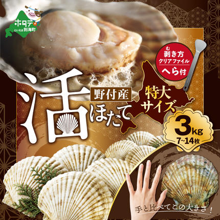 北海道別海町のふるさと納税 【先行予約】特大活ほたて ３kg相当 7～14枚入り＜朝どり新鮮出荷!＞