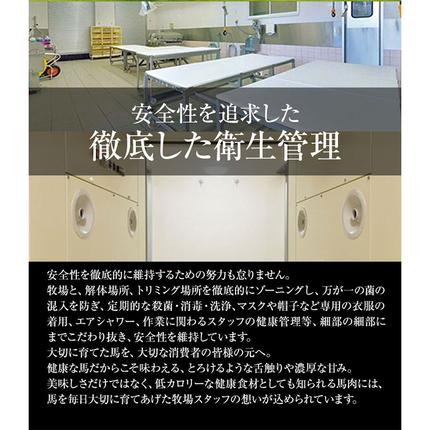 熊本県長洲町のふるさと納税 馬刺し 赤身 馬刺し 300g【純国産熊本肥育】 たっぷり300g 約100g×3 ブロック (タレ5ml×3袋)  生食用 冷凍 《30日以内に出荷予定(土日祝除く)》 馬刺し 馬肉 赤身馬刺し 馬刺し300g 馬刺しセット 生食馬刺し 国産 国産馬刺し 熊本 熊本馬刺し 送料無料