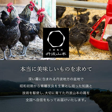 兵庫県加西市のふるさと納税 地鶏 丹波 黒どり 1羽セット 冷凍 焼き鳥 鍋 焼肉 BBQ 鶏肉 お肉 ブランド鶏 モモ肉 ムネ肉 ササミ 肝 砂肝 手羽 ガラ 食材 国産 国産鶏肉 焼き料理 鍋もの 蒸し鶏 揚げ物