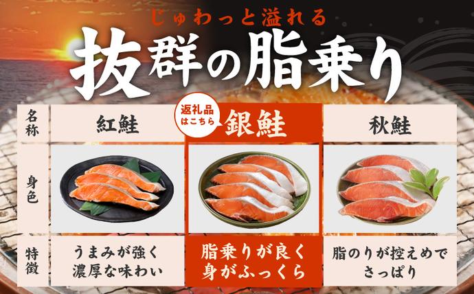 大阪府泉佐野市のふるさと納税 【訳あり】銀鮭 切り身 2kg(約18切れ)【規格外 甘塩 バラ凍結 海鮮 魚介 鮭 さけ しゃけ お弁当 朝食 おかず 簡単調理 家計応援】 kgp0009