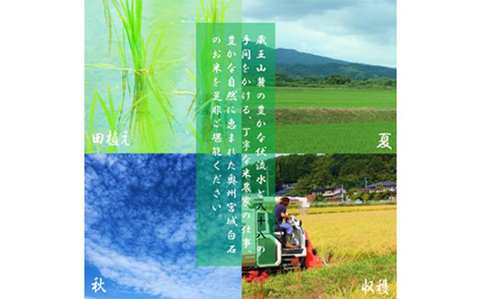 宮城県白石市のふるさと納税 令和7年産　つや姫 精米 10kg 宮城県白石市産【0616501】