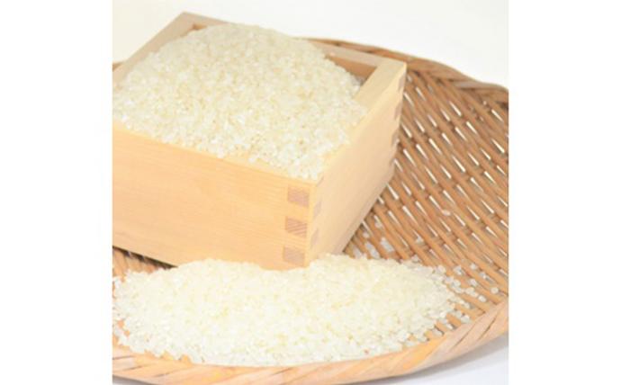 宮城県白石市のふるさと納税 令和7年産　つや姫 精米 10kg 宮城県白石市産【0616501】