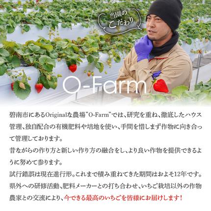 愛知県碧南市のふるさと納税 （予約受付中）【12月以降順次発送】まるで赤いサファイア!!丹精込めた完熟いちご!! 約450g H130-012