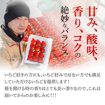 愛知県碧南市のふるさと納税 （予約受付中）【12月以降順次発送】まるで赤いサファイア!!丹精込めた完熟いちご!! 約450g H130-012