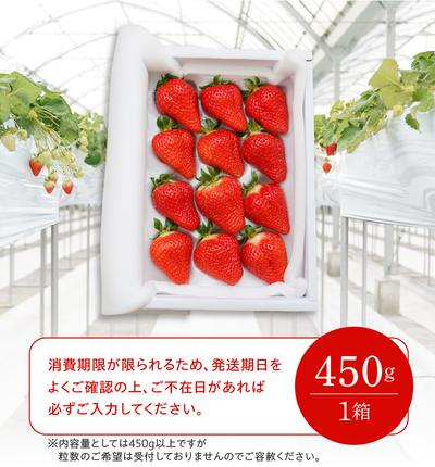 愛知県碧南市のふるさと納税 （予約受付中）【12月以降順次発送】まるで赤いサファイア!!丹精込めた完熟いちご!! 約450g H130-012