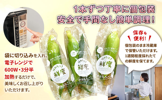 静岡県浜松市のふるさと納税 とうもろこし 先行予約 甘々娘 または 甘太郎 約4～6本 春のテルもろこし 個包装 レンジ調理 レンチン 野菜 夏 旬 冷蔵 冷蔵配送 静岡 静岡県 浜松市 6月下旬頃より順次発送 配送不可：離島