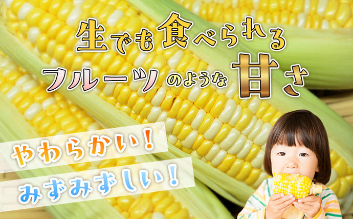 静岡県浜松市のふるさと納税 とうもろこし 先行予約 甘々娘 または 甘太郎 約4～6本 春のテルもろこし 個包装 レンジ調理 レンチン 野菜 夏 旬 冷蔵 冷蔵配送 静岡 静岡県 浜松市 6月下旬頃より順次発送 配送不可：離島