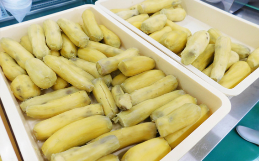 茨城県坂東市のふるさと納税 No.214 坂東市産　干し芋　紅はるか（計740g/180g×3袋・100g×2袋） ／ ほしいも ホシイモ おやつ 茨城県