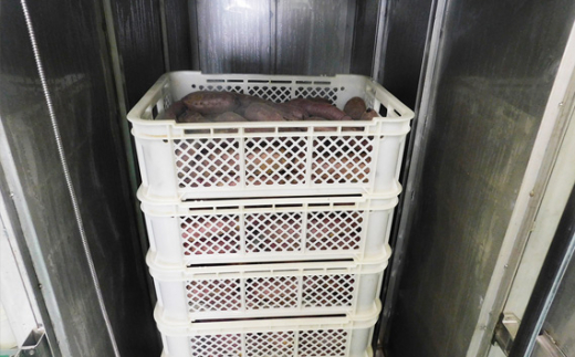 茨城県坂東市のふるさと納税 No.214 坂東市産　干し芋　紅はるか（計740g/180g×3袋・100g×2袋） ／ ほしいも ホシイモ おやつ 茨城県